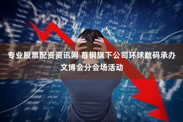 专业股票配资资讯网 首钢旗下公司环球数码承办文博会分会场活动